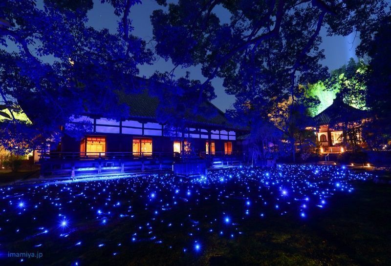 Festivales de Japón: el Shōrenin Light-up (青蓮院ライトアップ) o Encendido del Templo Shōrenin es un evento de iluminación nocturna que tiene lugar varias veces al año con motivo de determinadas celebraciones o festivales de Kioto como el festival Higashiyama Hanatoro (東山花灯路), la época de sakura o el final del otoño