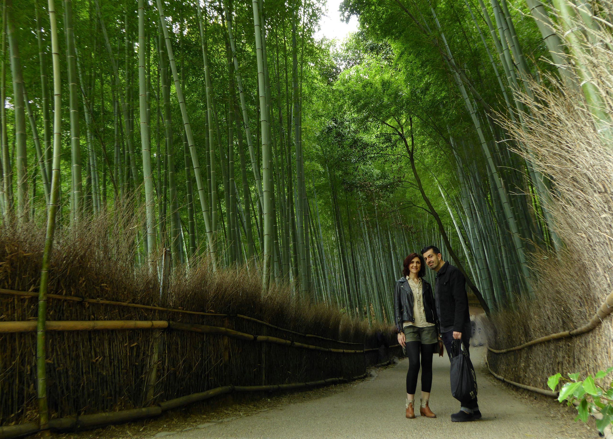 Qué ver y hacer en Arashiyama (Kioto): el famoso bosque de bambú de Sagano