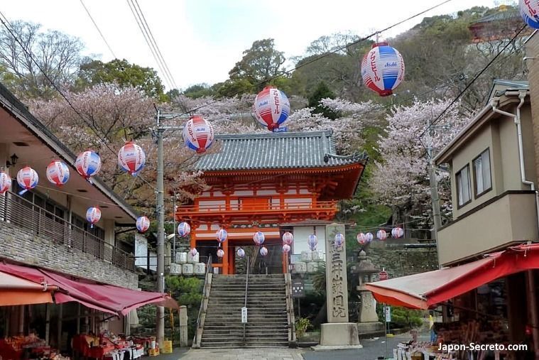 Lugares secretos de Japón en los que disfrutar de los cerezos (sakura) en flor: el templo Kimiidera de Wakayama