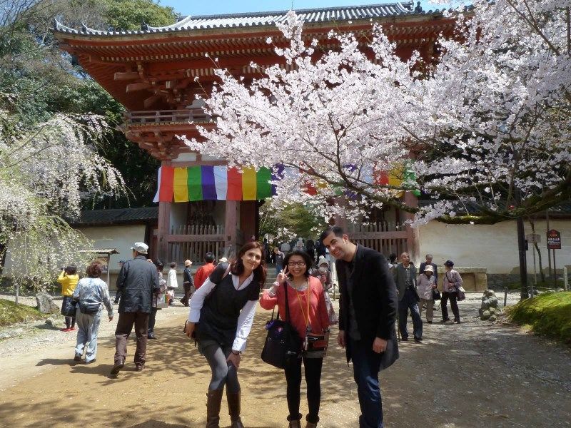 Lugares secretos de Japón en los que disfrutar de los cerezos (sakura) en flor: visitando el templo Daigoji de Kioto con nuestra amiga Miyuki