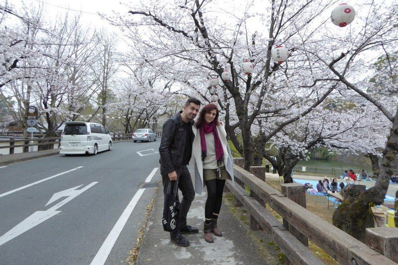 Lugares secretos de Japón en los que disfrutar de los cerezos (sakura) en flor: los alrededores del castillo de Kumamoto