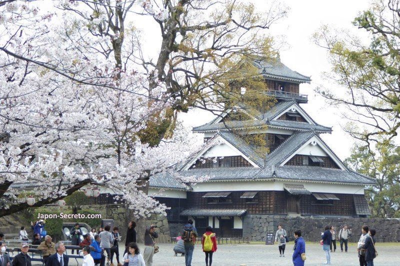 Lugares secretos de Japón en los que disfrutar de los cerezos (sakura) en flor: el castillo de Kumamoto