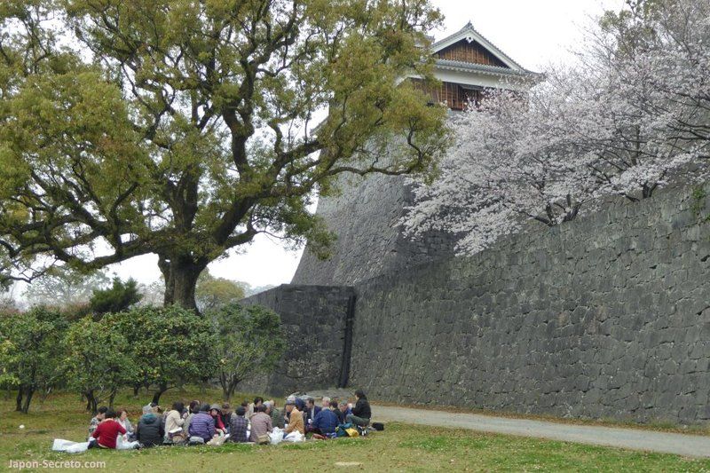 Un inusual "hanami" en los jardínes del castillo de Kumamoto