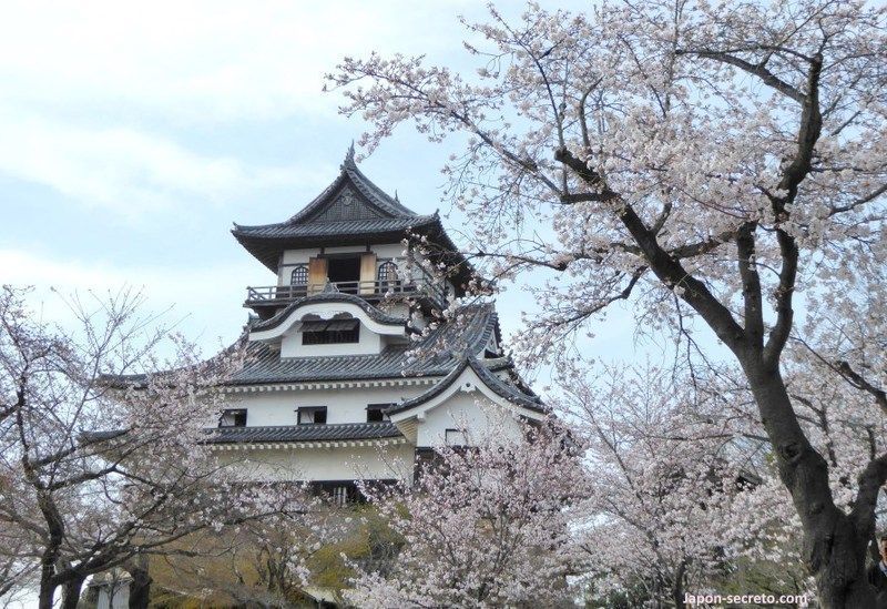 Lugares secretos de Japón en los que disfrutar de los cerezos (sakura) en flor: el castillo de Inuyama