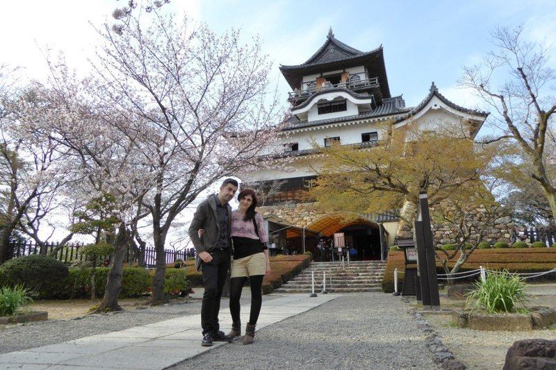 Castillo de Inuyama cubierto por cerezos en flor en primavera