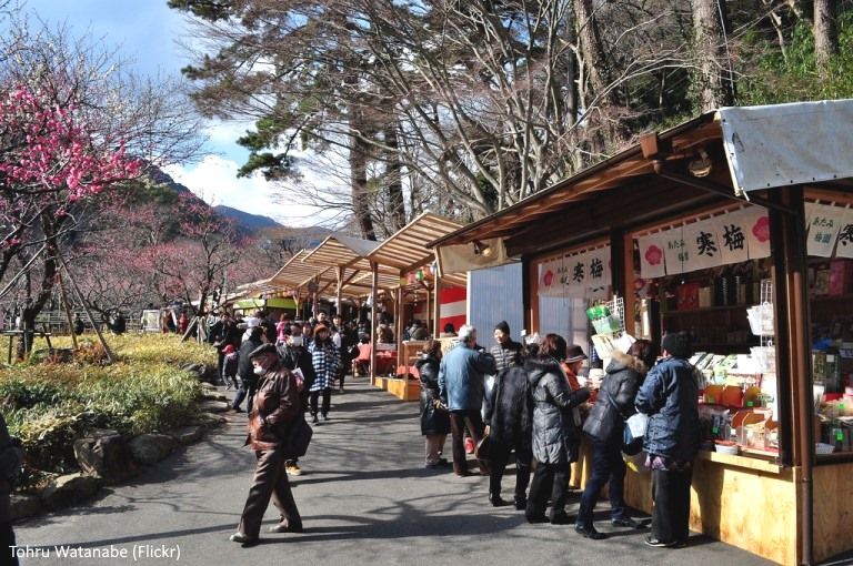 Festivales de Japón: el El Atami Baien Ume Matsuri (熱海梅園梅まつり), uno de los más famosos festivales de ciruelos en flor de todo Japón (Atami, prefectura de Shizuoka). Puestos de comida o "yatai"