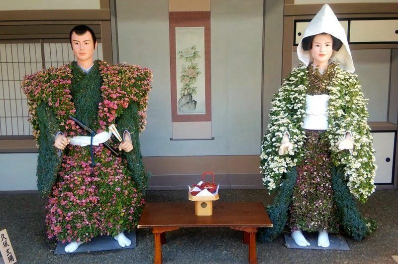 Festivales de Japón: Bunkyo Kiku Matsuri o Festival del Crisantemo