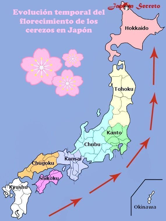 Mapa de la evolución de la floración de los cerezos en Japón