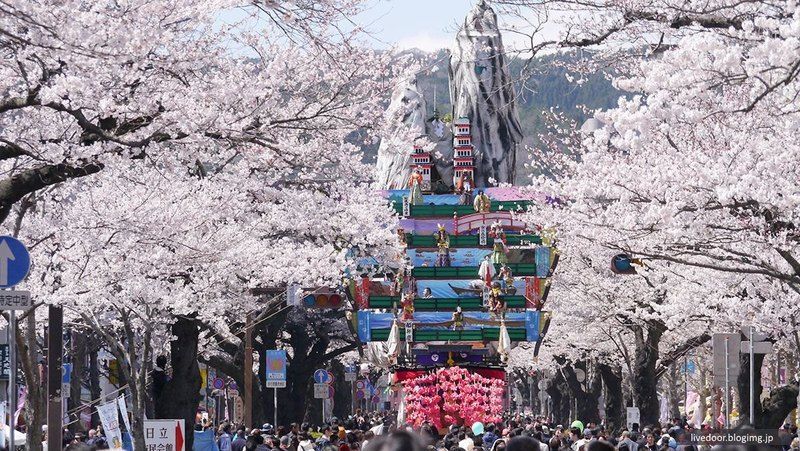 Festivales de Japón: el Hitachi Sakura Matsuri (日立さくらまつり) o Festival de los Cerezos, celebrado en Hitachi (Ibaraki) en abril