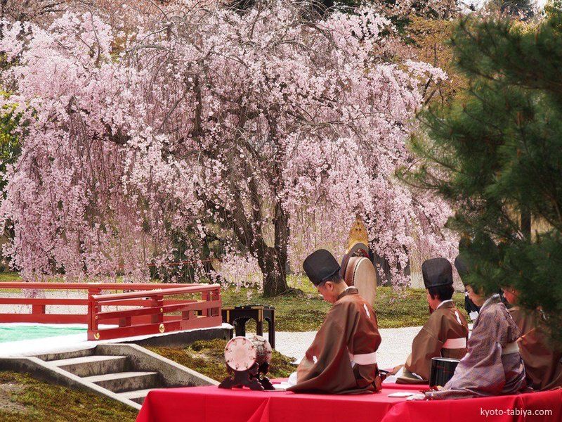 Festivales de Japón: Kadō Matsuri (華道祭, festival del arte con las flores) es un festival celebrado a comienzos de abril en el precioso templo Daikakuji (大覚寺), situado en el área de Saga-Arashiyama (Kioto)