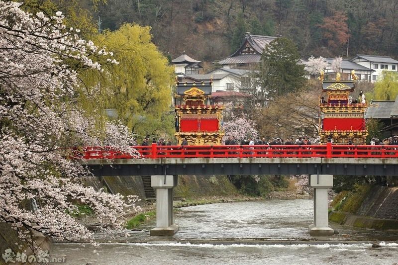 Festival de primavera Sannō Matsuri de Takayama. Cerezos. Sakura. Hanami