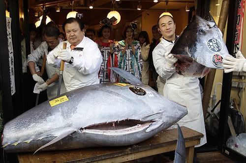 Ganadores de la subasta del primer atún del año (mercado Tsukuji, Tokio)