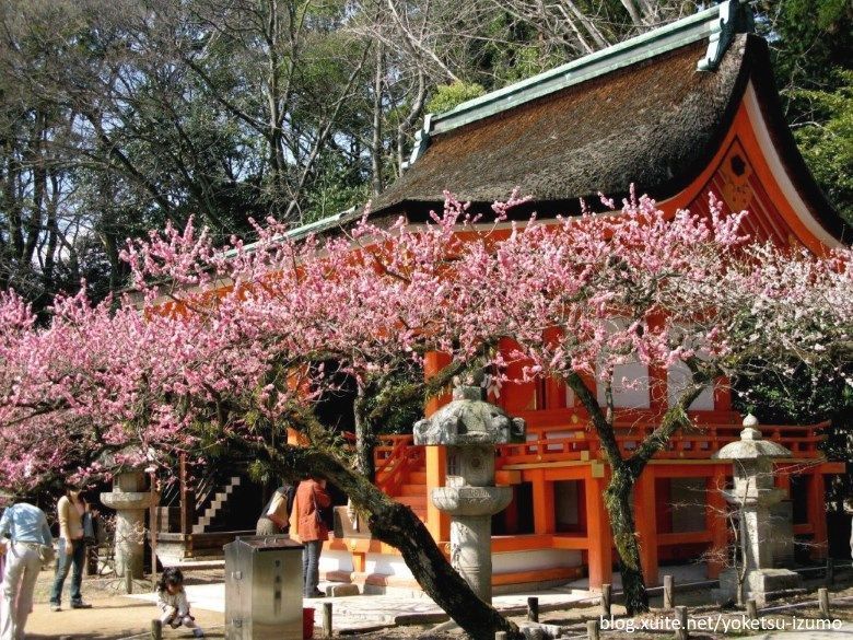 Flores de ciruelo en un templo de Japón