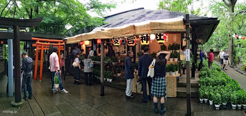 Festivales de Japón: Sennichi Mairi Houzuki Ennichi de Tokio, el primer mercado de farolillos japoneses y un ritual de bienvenida del verano
