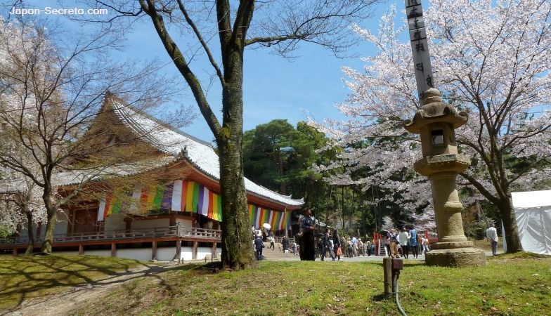 Sala principal o "Kondō" (金堂) del templo Daigoji (Kioto) durante el florecer de los cerezos (sakura). Hanami