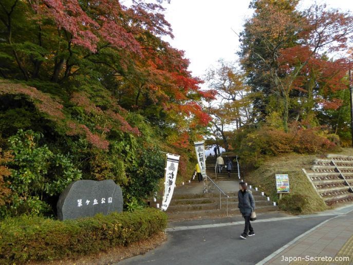 Festival Taimatsu Akashi: subida al monte Gorozan, cubierta de preciosos árboles con los colores del otoño (momiji/kouyou)