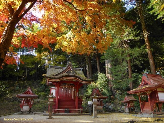 Momiji en el santuario Tanzan ("Tanzanjinja", 談山神社) en Sakurai (prefectura de Nara) en otoño.