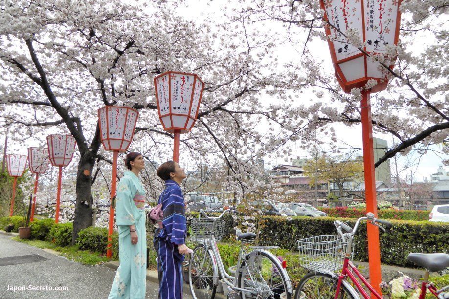 Pilar y Mana vestidas con kimono por el barrio de geishas de Miyagawachō