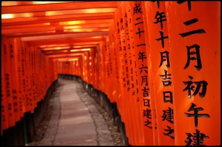 Japón lugares turísticos: Fushimi Inari Taisha. 
