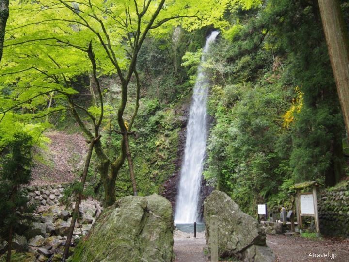 Cascada de Yoro. Yoro Park. Yoro (Gifu). Japón
