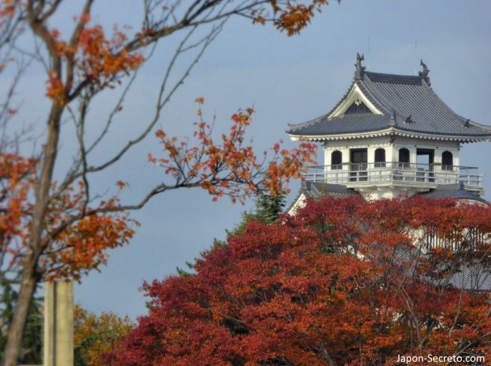 Excursiones desde Kioto: vistas del castillo de Nagahama desde el parque Hō.