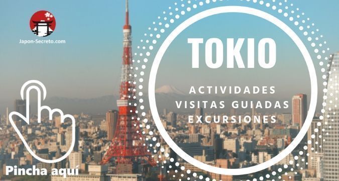 Descubre Tokio: visitas guiadas, actividades y excursiones