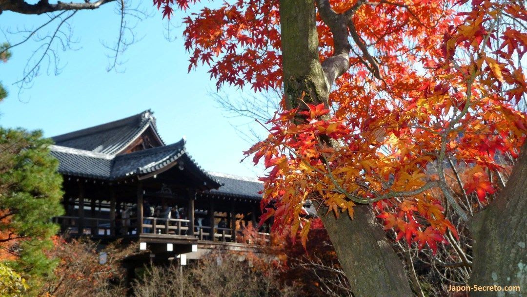 Templo Tōfuku-ji (東福寺) en Kioto durante el momiji (otoño) en Japón