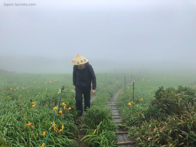 Japón. Ruta de peregrinación Dewa Sanzan. Monte Gassan. Senderismo. Ruta a pie. Caminar.