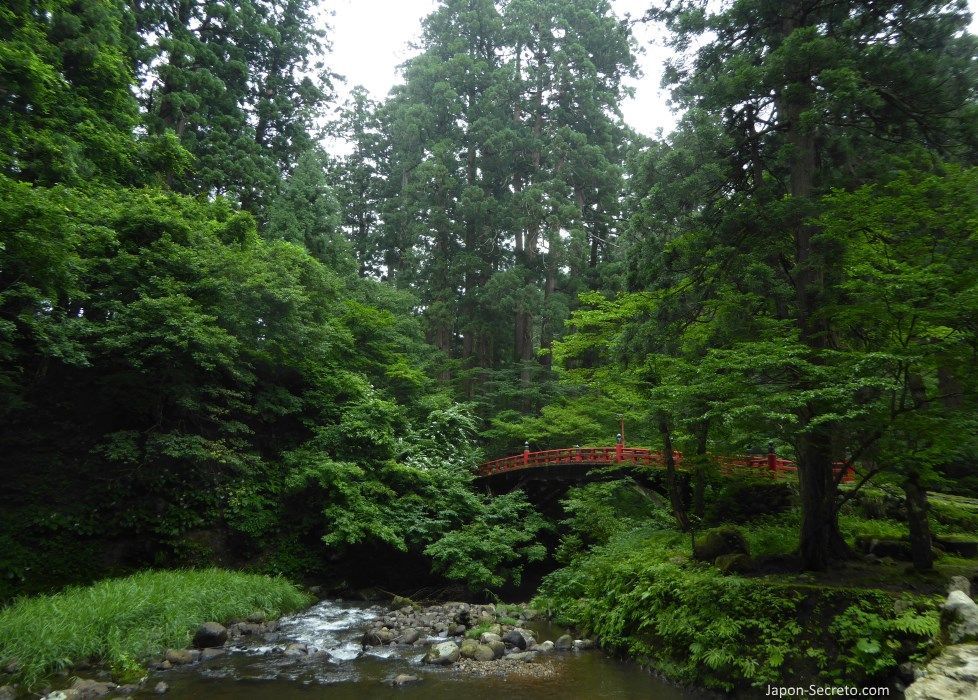 Japón. Ruta de peregrinación Dewa Sanzan. Monte Haguro (Hagurosan). Bosque de arces y puente rojo