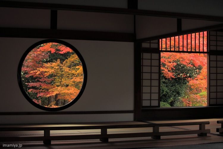 Japón: disfrutar del momiji en Kioto en otoño. Templo Genkoan