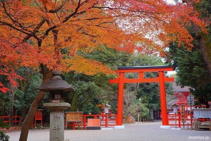 Japón: disfrutar del momiji en Kioto en otoño. Santuario Shimogamo