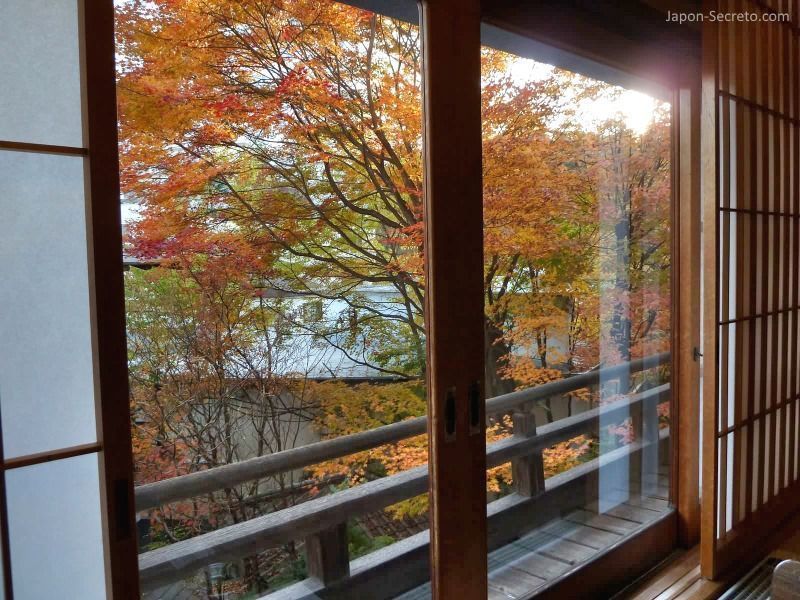 Vistas desde nuestra habitación en Kusatsu Hotel (Kusatsu Onsen) durante el otoño. Puede disfrutarse del momiji (colores de los árboles en otoño).