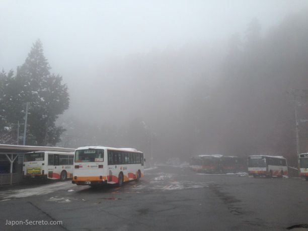Viaje al Monte Koya o Koyasan: estación de Koyasan. Autobuses Nankai esperando. Niebla.