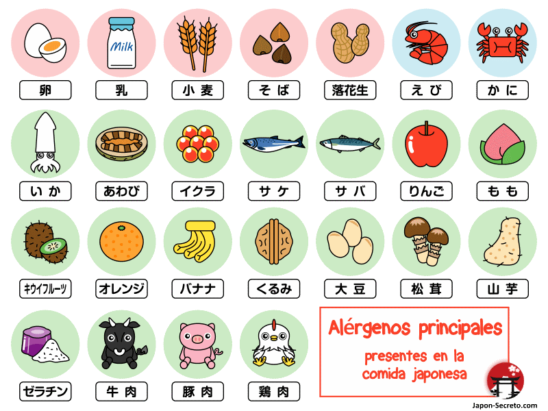 Alergias e intolerancias alimentarias en Japón. Los 25 alérgenos más presentes en la gastronomía japonesa