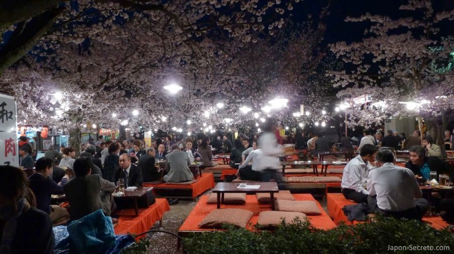 Hanami nocturno (yozakura, 夜桜) en el parque Maruyama. Santuario Yasaka. Kioto