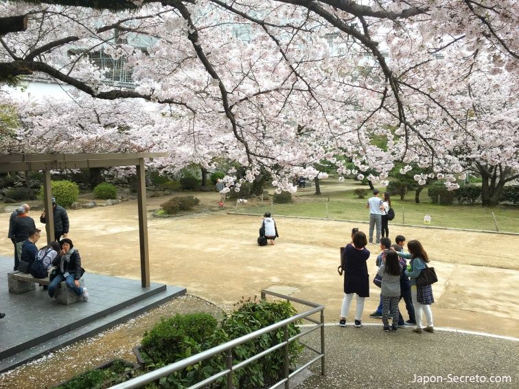 Viajar a Japón: castillo de Himeji (姫路城) durante la floración de cerezos sakura. Un buen viaje desde Kioto, Osaka o Hiroshima