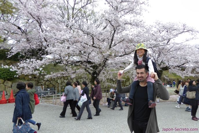 Viajar a Japón: castillo de Himeji (姫路城) con niños durante la floración de cerezos sakura. Un buen viaje desde Kioto, Osaka o Hiroshima