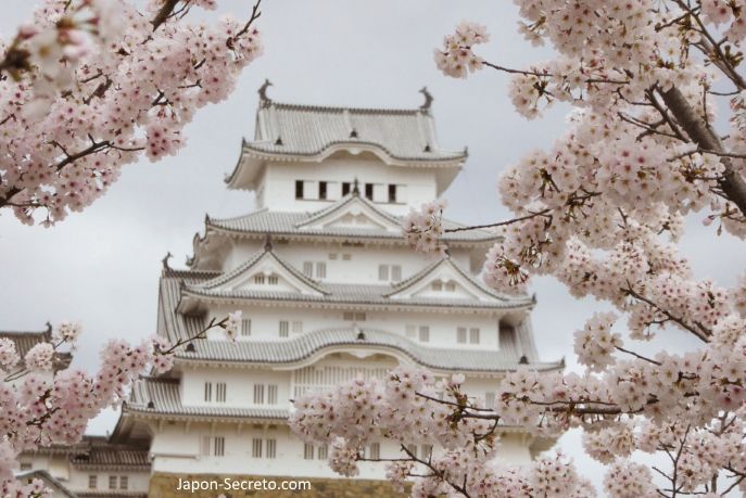 Castillo de Himeji durante la floración de cerezos sakura. Un buen viaje desde Kioto, Osaka o Hiroshima