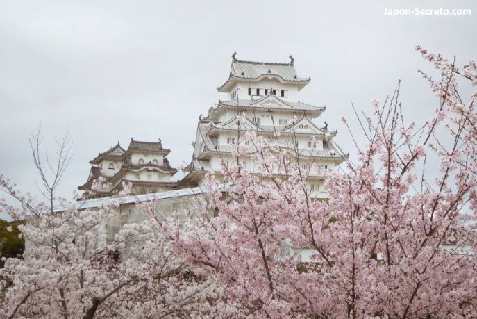 Viajar a Japón: castillo de Himeji (姫路城) durante la floración de cerezos sakura. Un buen viaje desde Kioto, Osaka o Hiroshima