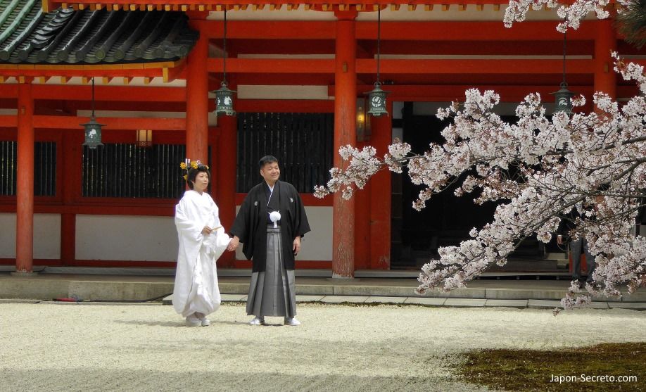 Itinerarios de sakura por Kioto: hanami en el santuario Heian y sus cerezos llorones