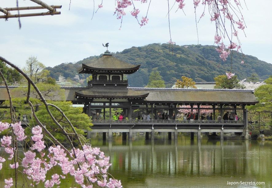Kioto en primavera: hanami en el jardín del santuario Heian y sus cerezos llorones
