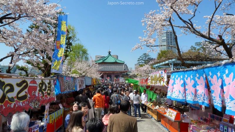 Puestos de comida (yatai) en Parque de Ueno. Flores de cerezo en Tokio. Hanami. Sakura.