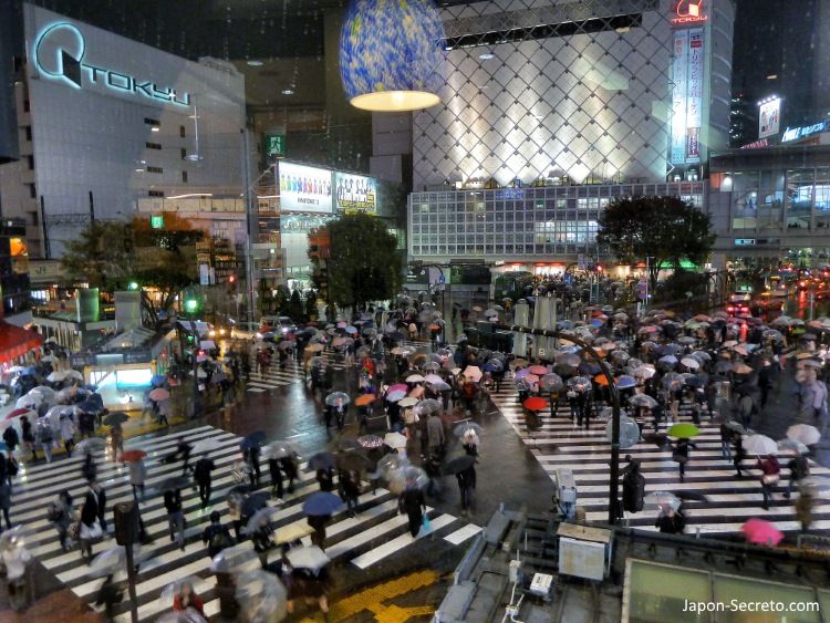 Viajar a Tokio: vista del cruce de Shibuya desde Starbucks-Tsutaya con lluvia