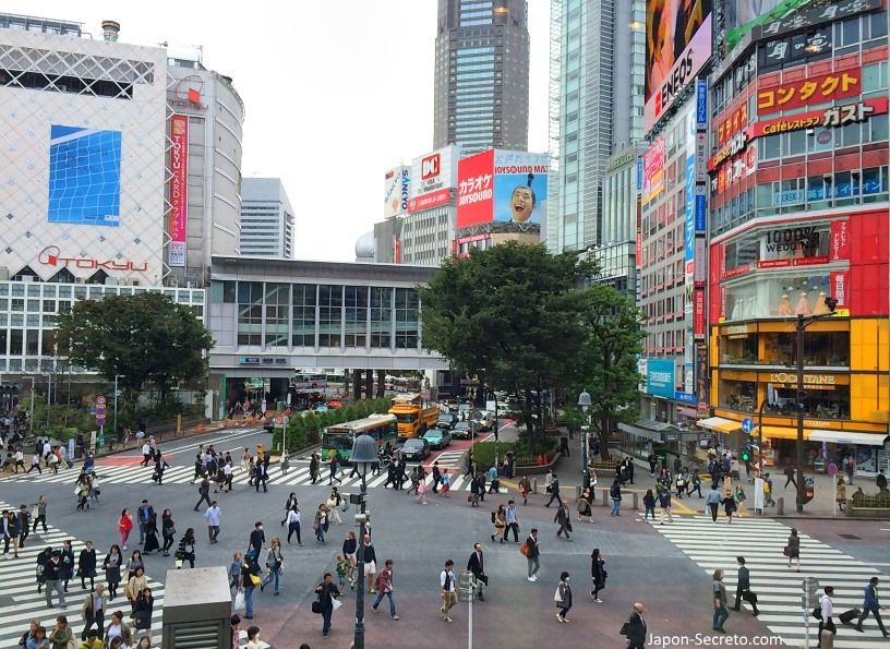 Viajar a Japón: cruce de Shibuya (Tokio). Gusto, L'Occitane y corredor Mark City