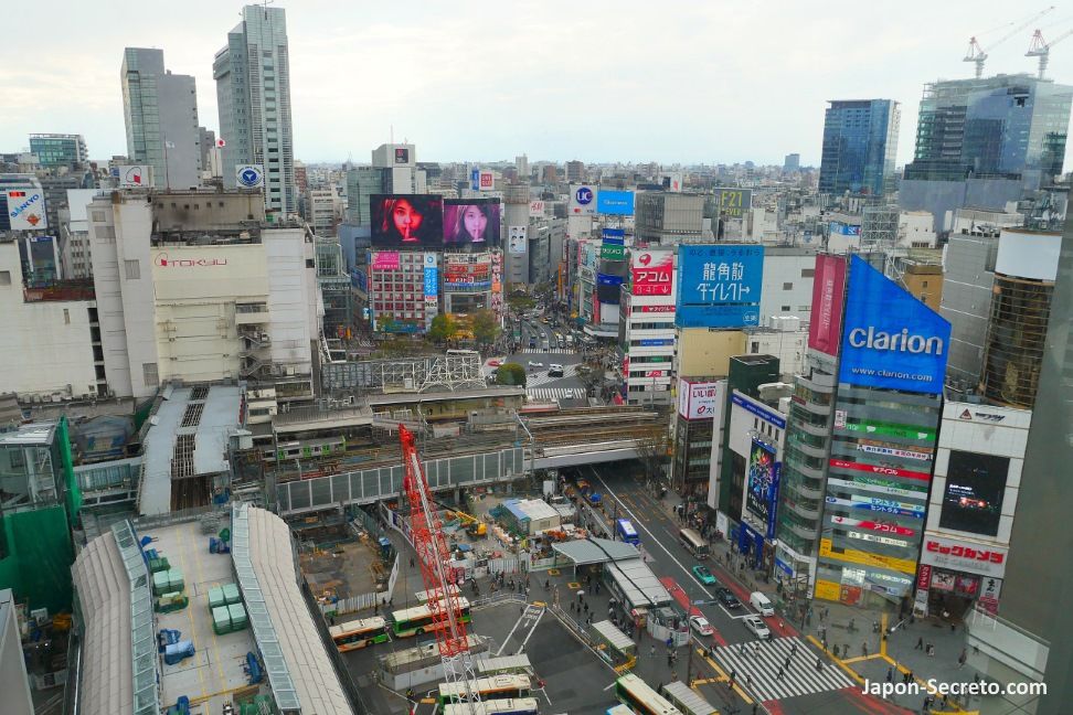 Vistas del cruce de Shibuya desde el edificio Hikarie. Tokio, que ver y hacer. Guia de viaje