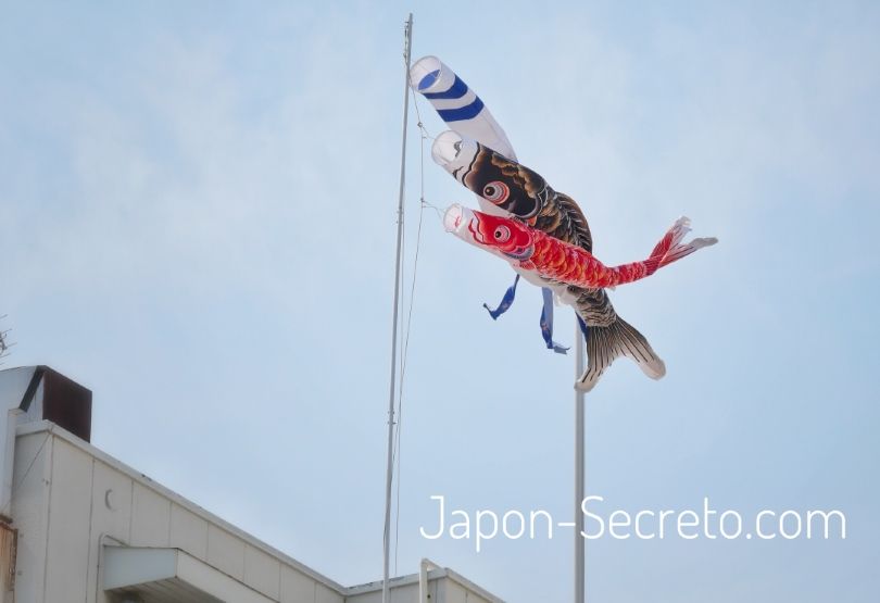 El Día de los Niños en Japón (子供の日, Kodomo No Hi), el 5 de mayo. Carpas koinobori, cometas al viento
