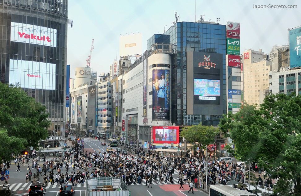 Vistas del cruce de Shibuya desde el corredor Shibuya Mark City. Tokio, que ver y hacer. Guia de viaje