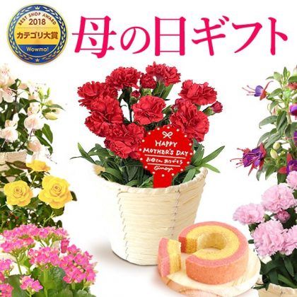 El Día de la Madre en Japón (母の日, Haha No Hi)