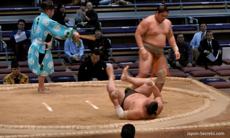 Torneo de lucha sumo en Fukuoka (Japón)