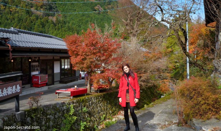 Momiji en Ohara, un pueblo cerca de Kioto en la montaña. Japón rural en otoño.